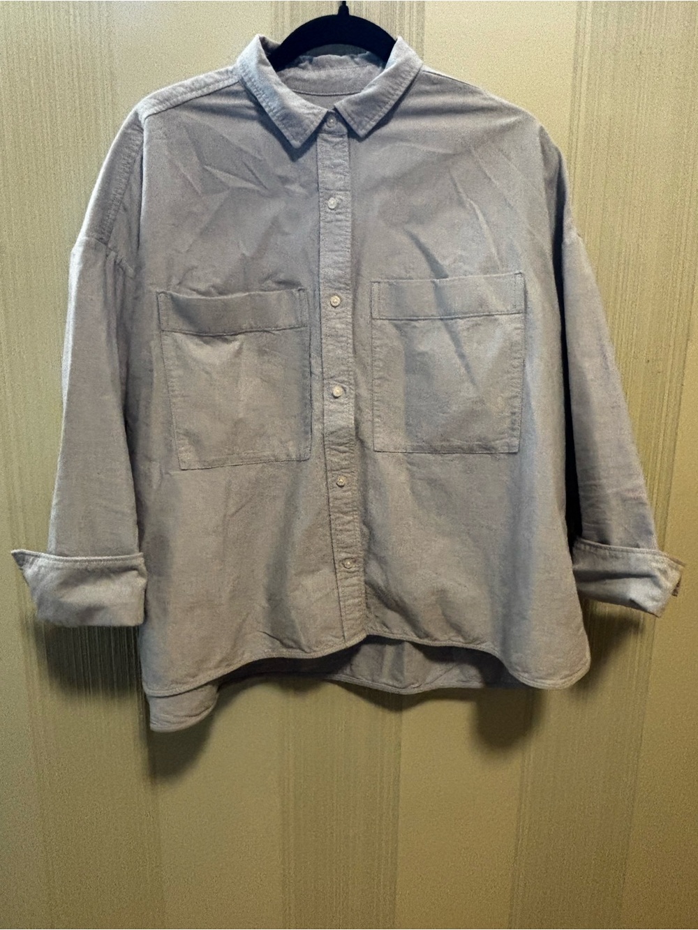 Everlane Light Blue Casual Button-Down Shirt with Chest Pockets